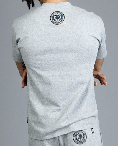 DOCTRINE DAGGER WAVE HEATHER GRAY T-SHIRT